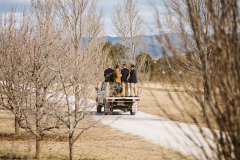 Amy-and-Jonathan-Wedding-Blue-Wren-Farm-Mudgee-132