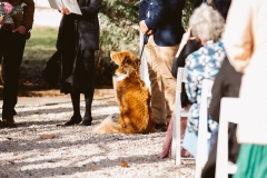 Amy-and-Jonathan-Wedding-Blue-Wren-Farm-Mudgee-260