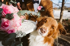 Amy-and-Jonathan-Wedding-Blue-Wren-Farm-Mudgee-300